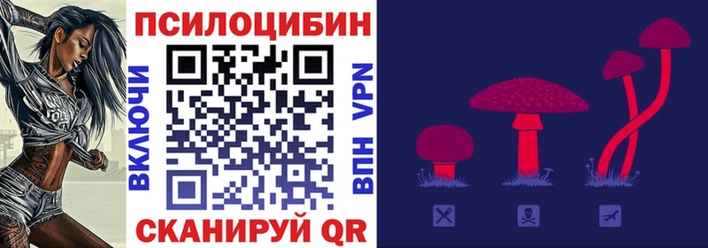 Галлюциногенные грибы Psilocybine cubensis  Новоуральск 